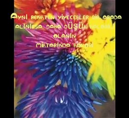 Diyet Listeleri ile Zayıflama