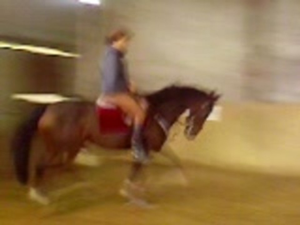 Video-0007