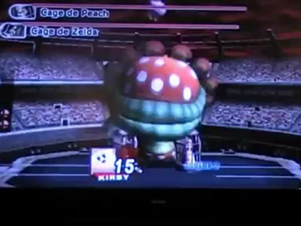 Super Smash Bros Brawl 01 - Sauver Zelda et Peach