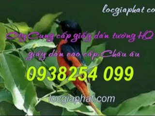 Số diện thoại giấy dán tường quận 1 call 0938 254 099
