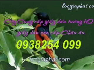 Số điện thoại giấy dán tường quận 9, thu duc call 0938 254 099