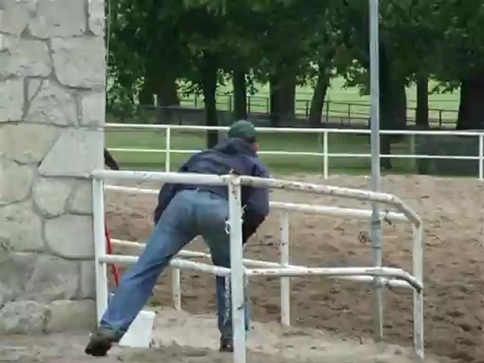 DSCF8122