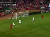Friendly : Liverpool FC 1 vs. 2 AS Roma 25/07/2012  All Goals