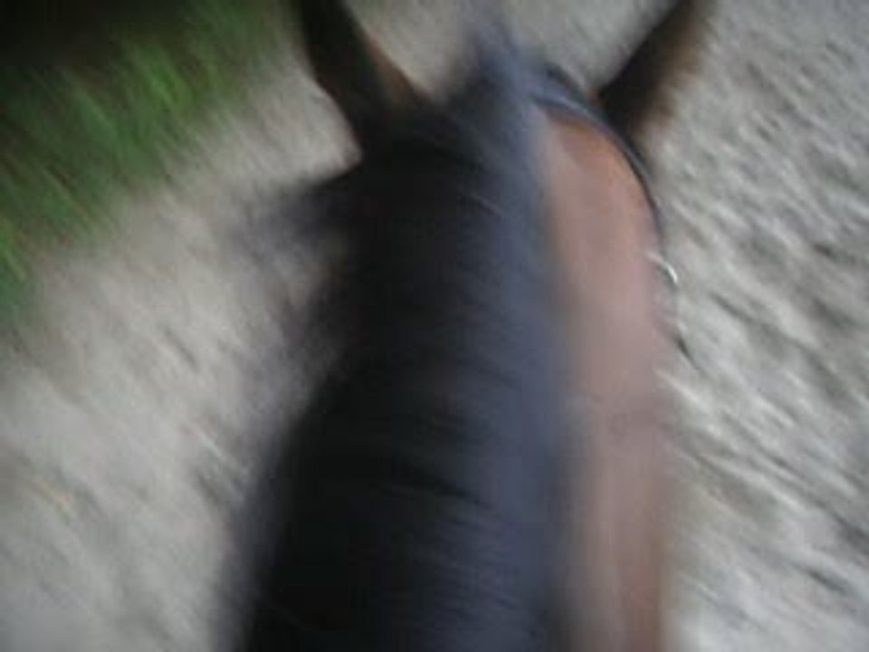 Moi et Mister