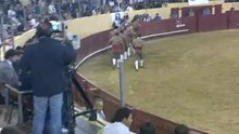 NUNO MARQUES CABO DO GRUPO DE FORCADOS AMADORES DA CHAMUSCA PEGA TOIRO GANADARIA TEIXEIRA NA PÓVOA DO VARZIM