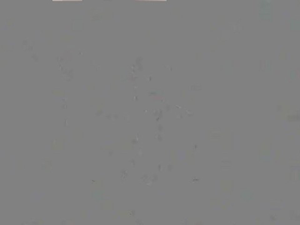 AS 9100 Certification, AS 9100 Consultant, AS 9100 Consultancy, AS 9100 Training, AS 9100 Audit