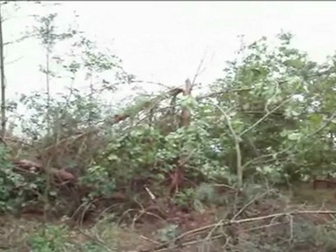 Klip promujący serwis Potega Natury