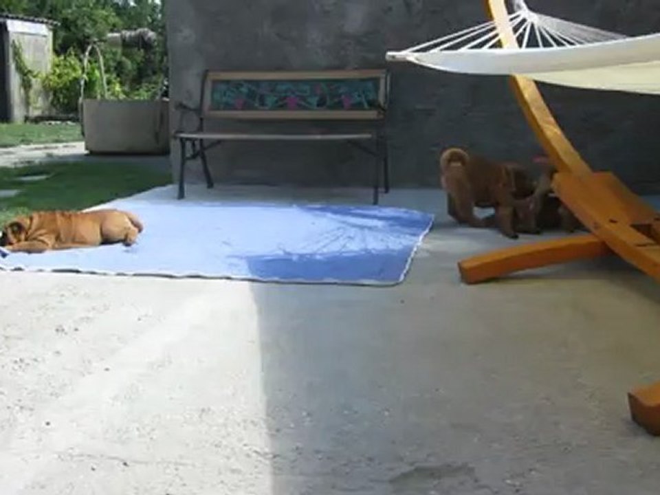 c'est qui le Boss ?