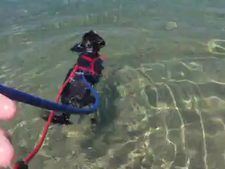 réeducation pour papouf dans le plan d'eau