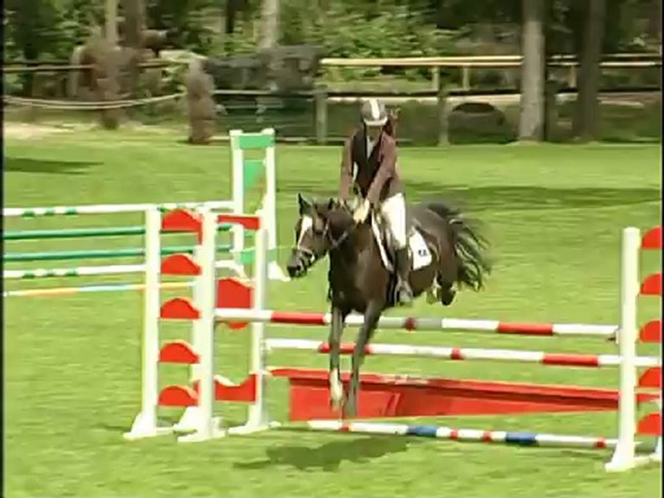Vente FPPCF / Euro Poney : 411 UNGARO LE BRIARD