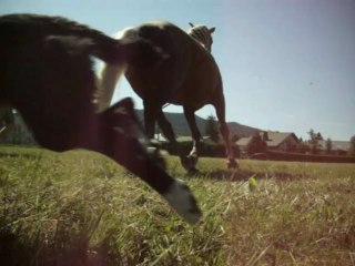 Travail à pied - 23 juin 2012