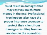 Why Hire a Professional for Tree Removal and Tree Trimming