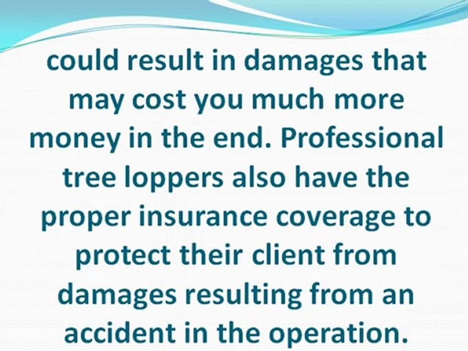 Why Hire a Professional for Tree Removal and Tree Trimming