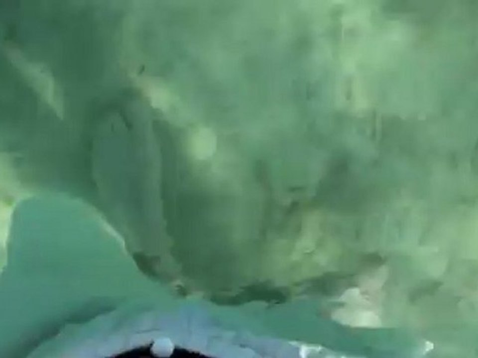 Notre vie en Australie partie 23 voyage aux iles fidji partie 2