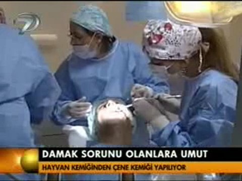 Hayvan Kemiğinden Çene Nasıl Yapılıyor? Box Teknik Uygulaması