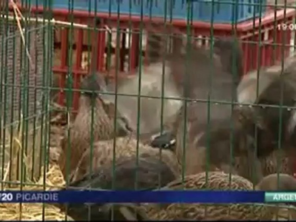 SALON DES MIGRATEURS