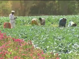 Why are Indians obsessed with fairness?