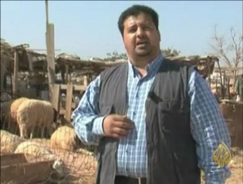 تفشي مرض الحمى القلاعية بين المواشي في ليبيا