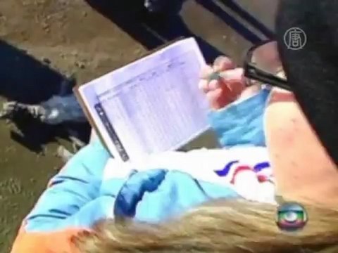 Почему в Бразилии погибли сотни пингвинов?