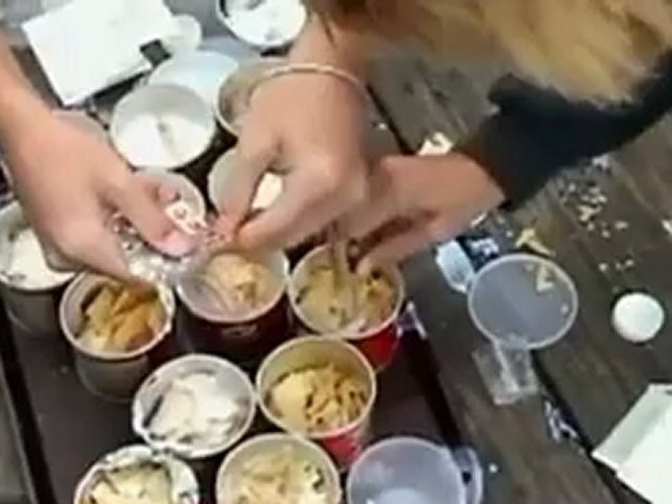 seagull attack