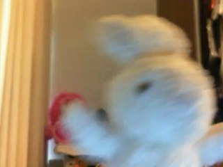 Wiwi muppetshowise "building the barn" de Maurice Jarre