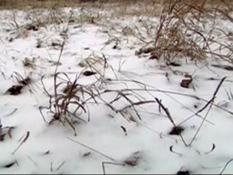 Pactos Secretos de la II GM Ep02