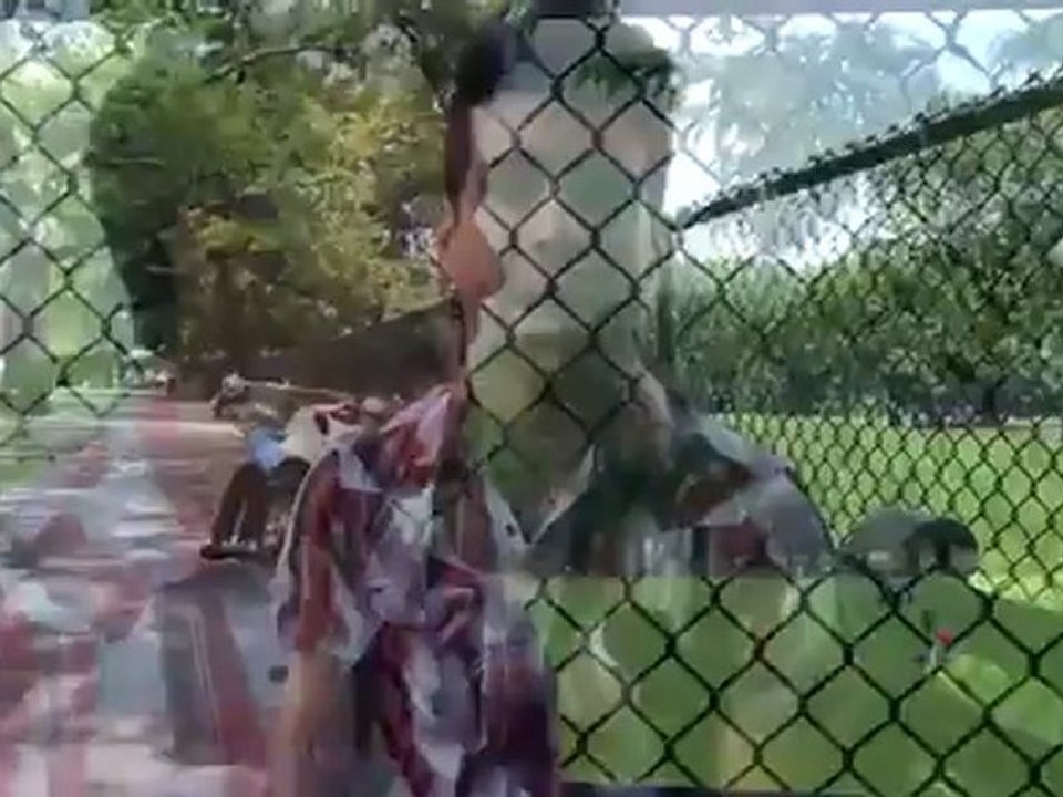 Technique de drague : choper le numéro de filles grâce ...