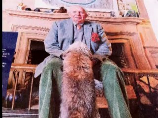 The Slit Plasters - Jerks on the loose