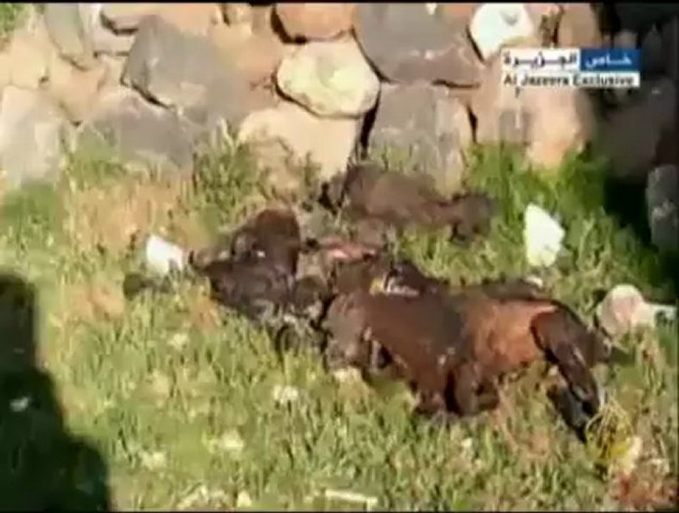 الجزيرة ترصد سياسة الأرض المحروقة في جرجناز