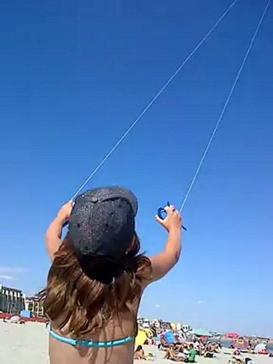 Vol du cerf-volant