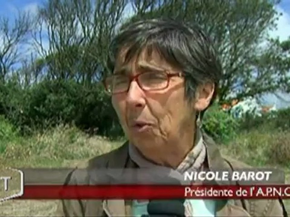 Les plantes de chênes ont été arrachées (Vendée)