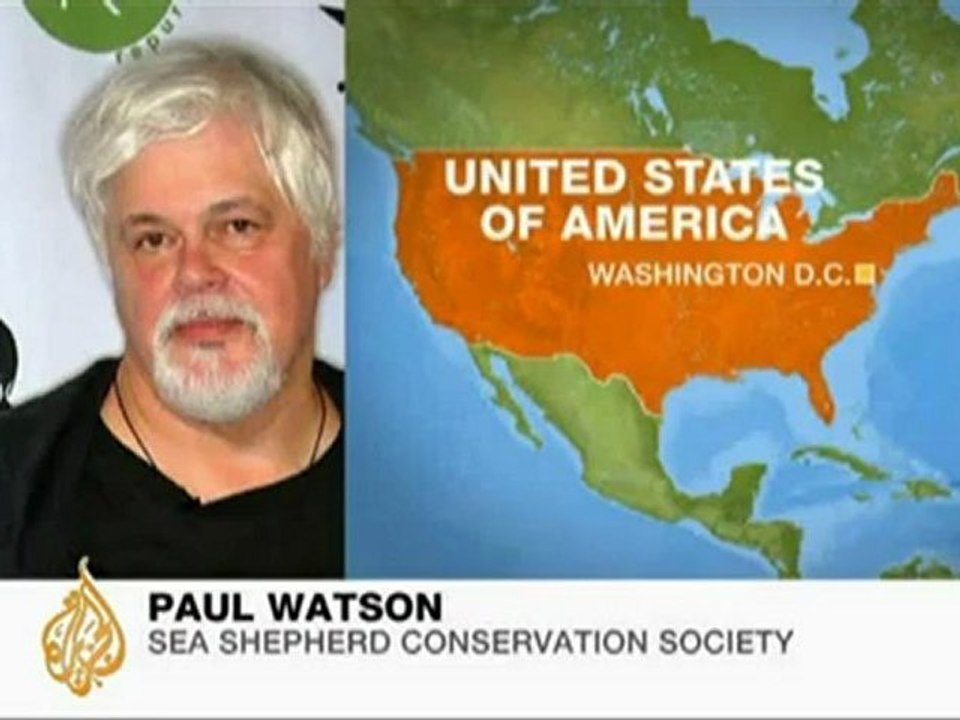 Anti-whaling activists' war of words