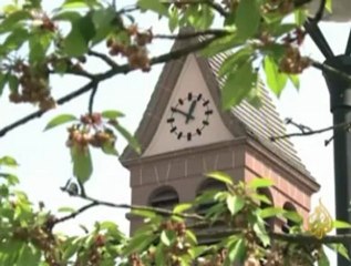 نسبة تصويت اليمين المتطرف في الألزاس فرنسا