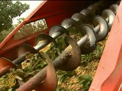 Banned Iranian pistachios a boon for US farmers