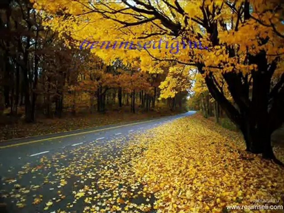 35 yaş şiiri_0001 izlenme rekorları kıran şiir  ve fon müziği