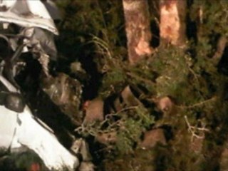 14 dead in horrific Texas pickup truck crash