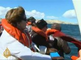 Mysterious whale deaths off Argentina