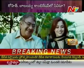 Box Office - Tollywood Latest Movie News - 01
