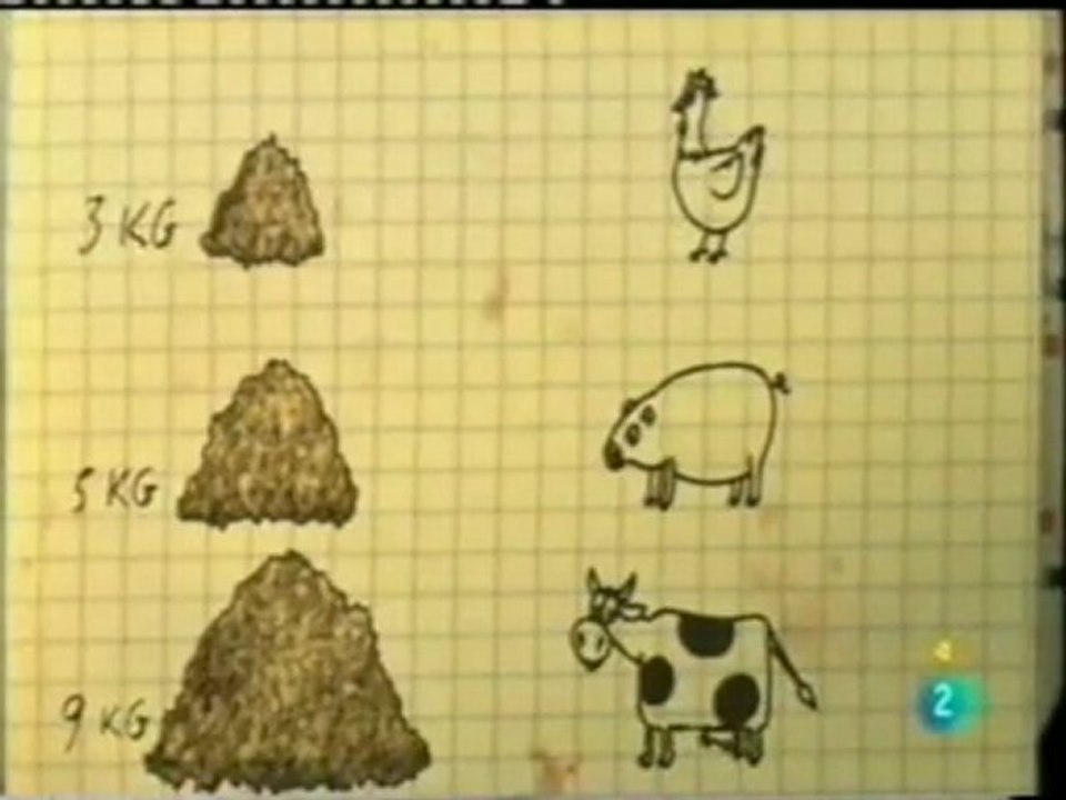 Ganaderia sin tierra: Un modelo insostenible