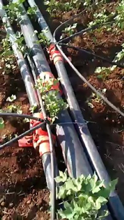 VIDEO0288