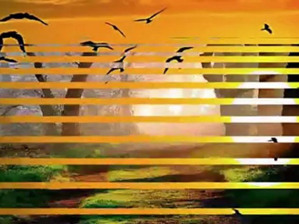 ZÜLFÜ LİVANELİ-BİR ÇİFT TURNA