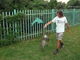 How to catch a monkey | District Monkey Episode 1