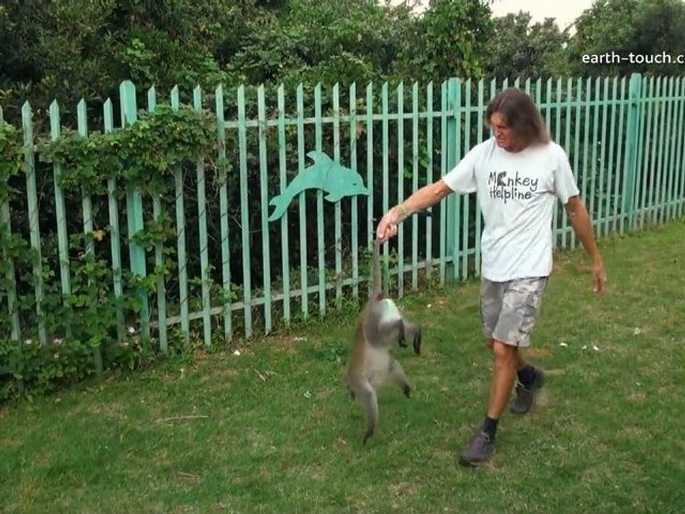 How to catch a monkey | District Monkey Episode 1