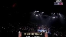 Ramon Dekkers VS DUANE ludwig in K1