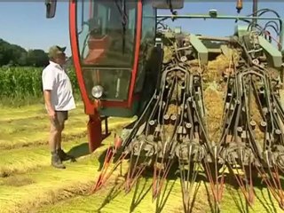 Arrachage du lin dans le Pays de Caux