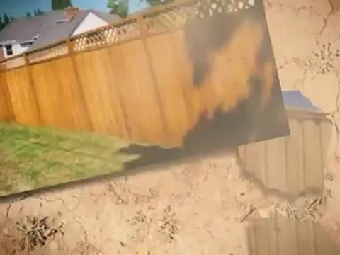 Dynamite Fence of Tampa (813) 922-8436