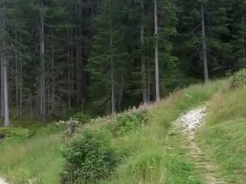 Alter - Motivation zum Erfolg von Ernst Crameri