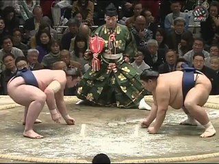 www.all-sport-online.ru | 10 сумо 2012 янв