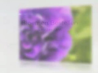 Bloemen Bestellen Amsterdam 020-6610903