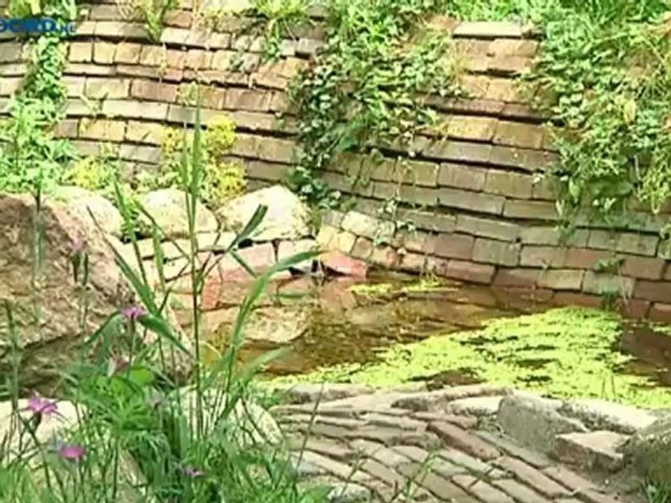 Louis le Roy, tuinarchitect van Lewenborg, overleden - RTV Noord